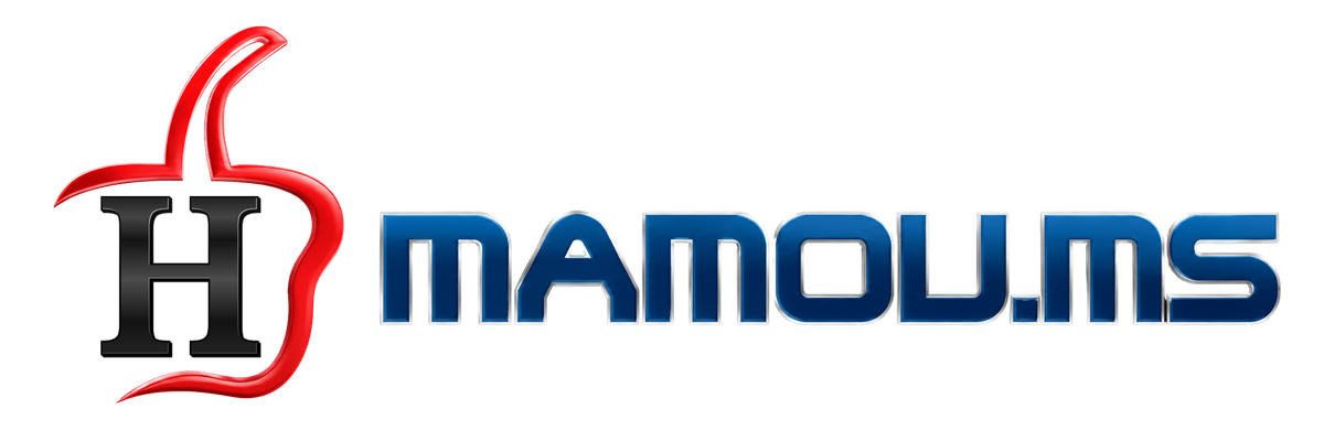 HMAMOU MULTI SERVICES
